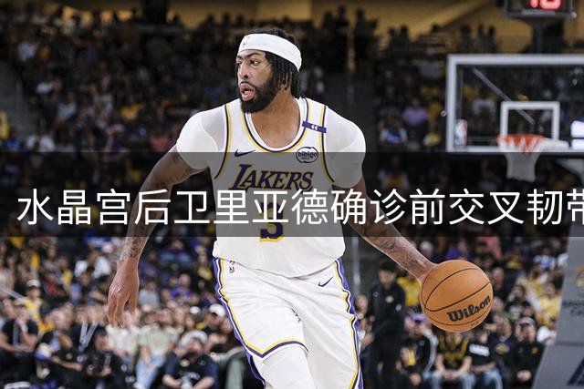 水晶宫后卫里亚德确诊前交叉韧带损伤 或长期缺阵